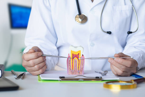 Best Emergency Orthodontic Repairs in Rice, TX